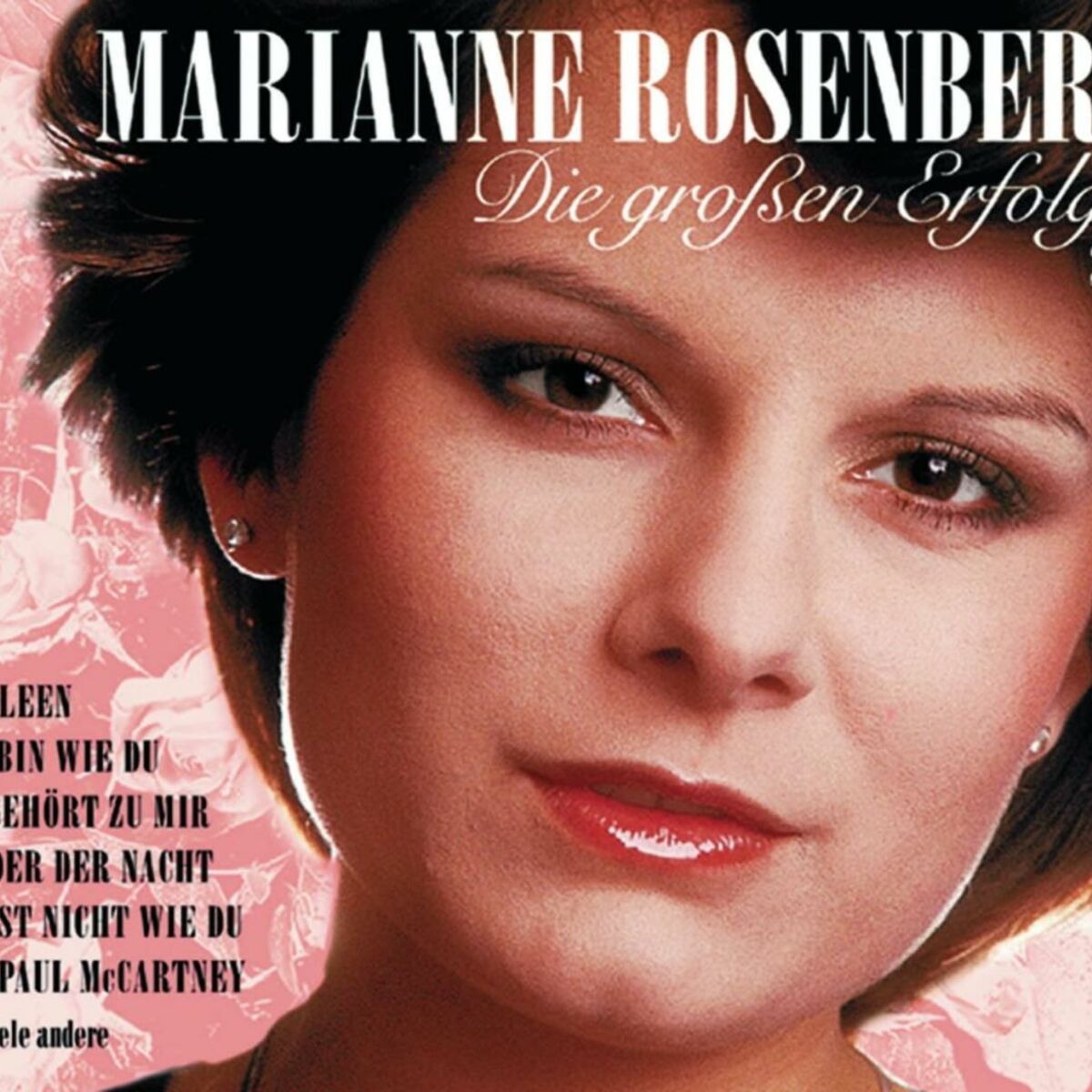 Album cover of Die großen Erfolge