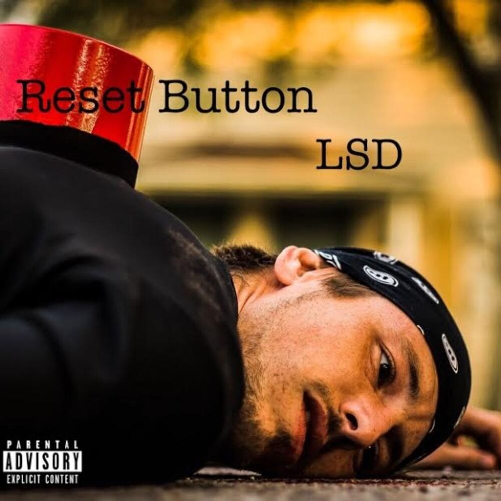 Picture of Reset Button