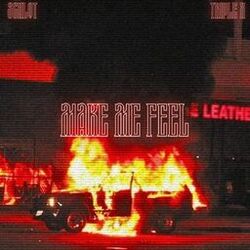 Cover of Make Me Feel