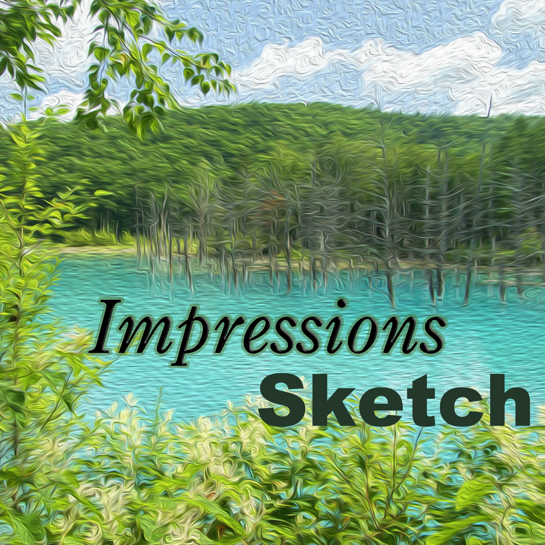 Album cover of Impressions