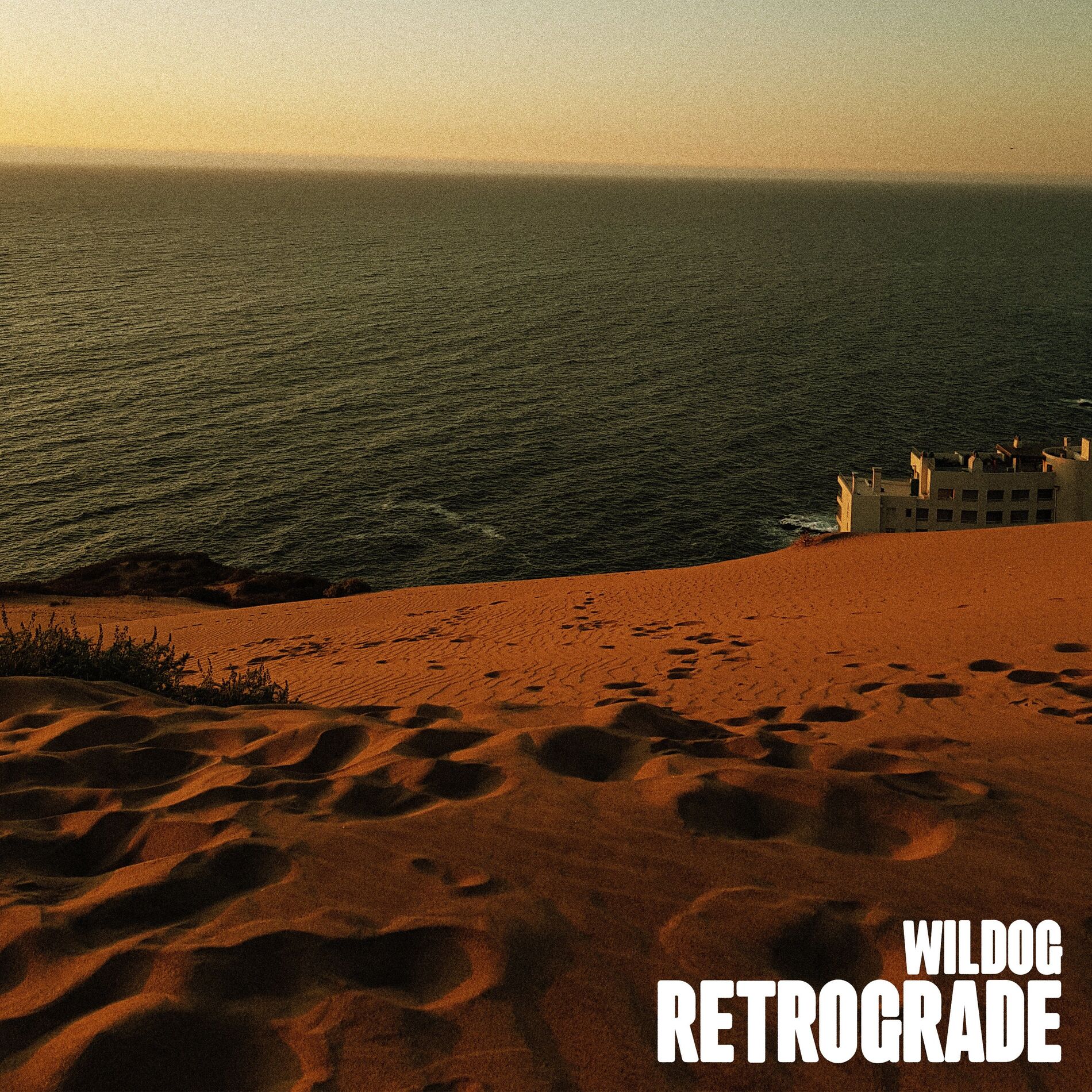 Album cover of Retrograde