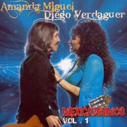 Cover of Mexicanisimos, Vol. 1