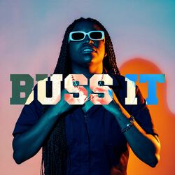Cover of BUSS IT