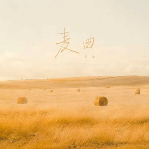 麦田