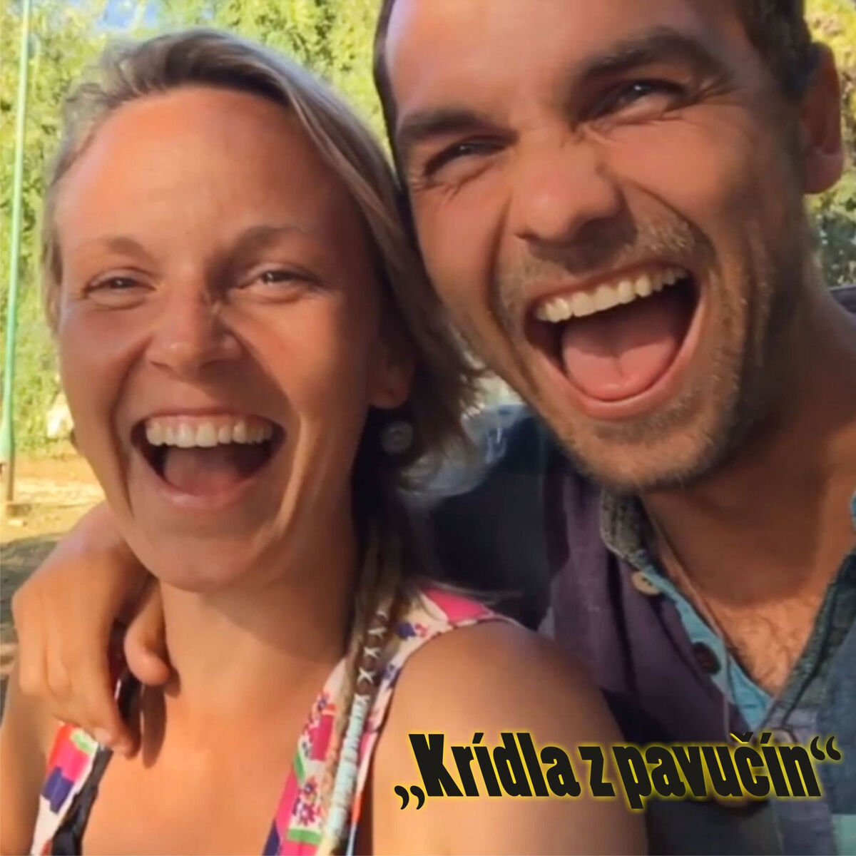 Album cover of Kridla Z Pavucin