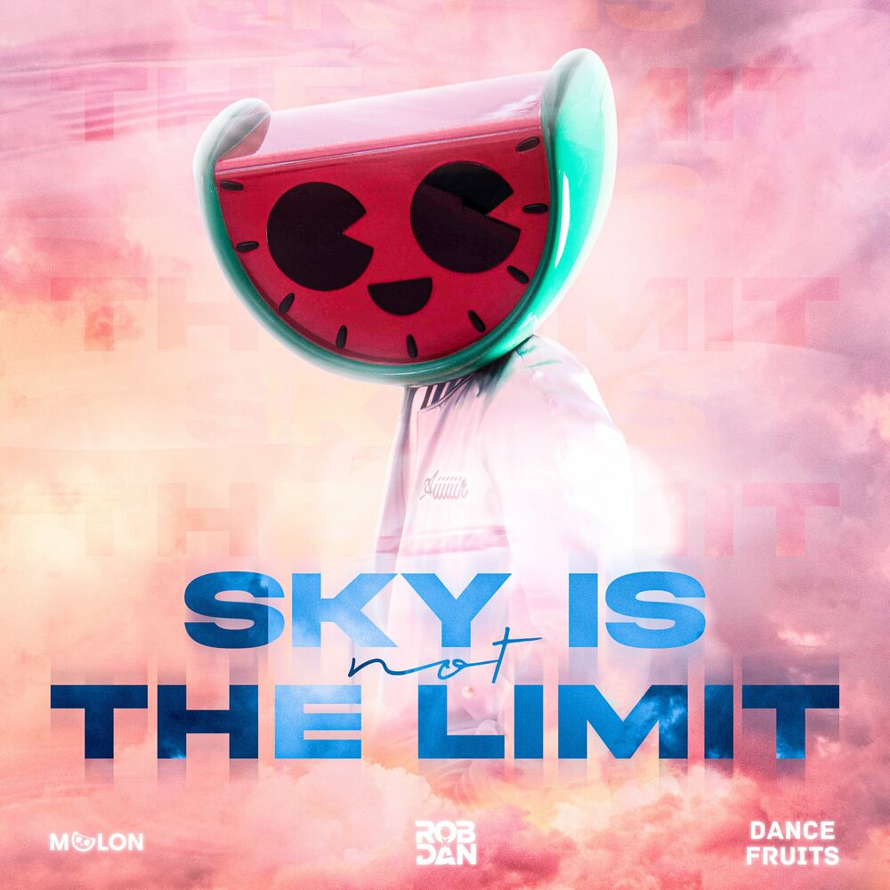 Picture of Sky Is Not The Limit