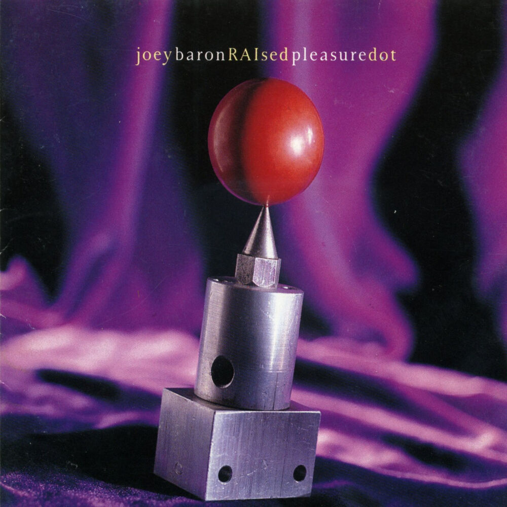 Picture of Joey Baron - Raised Pleasure Dot