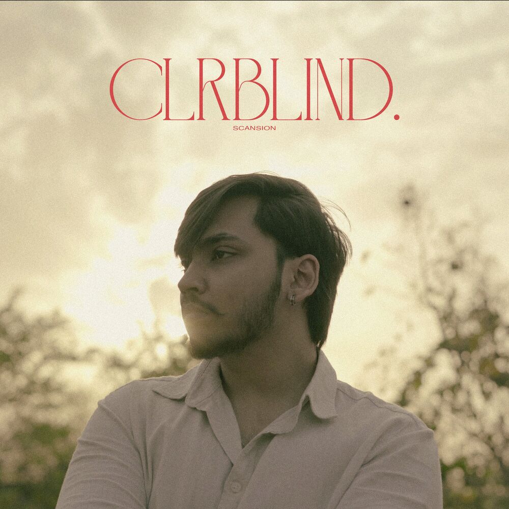 Picture of CLRBLIND