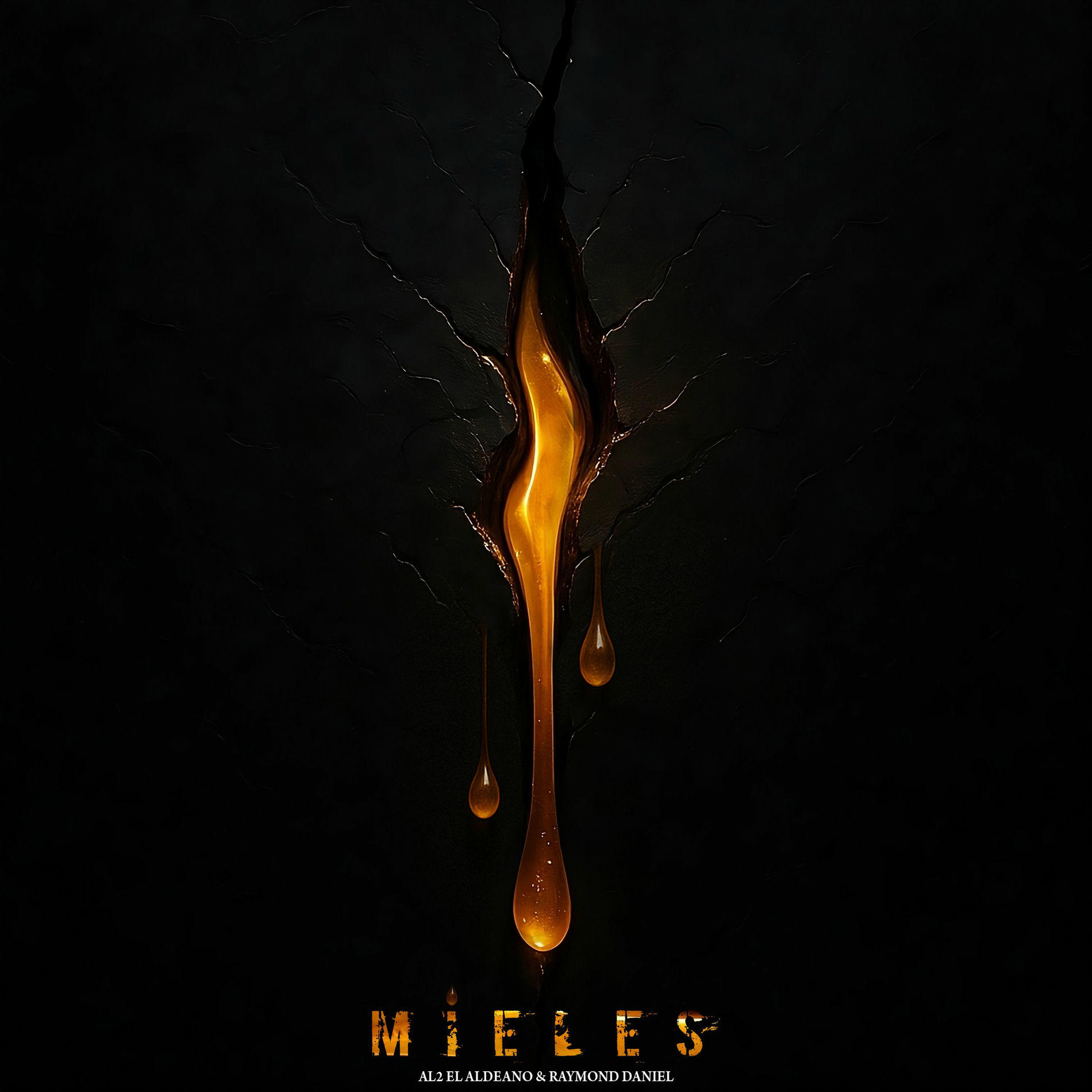 Album cover of Mieles