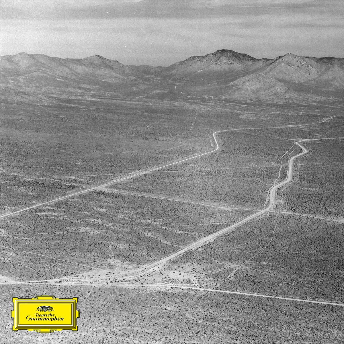 Album cover of Solanales