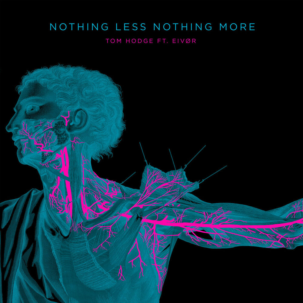 Picture of Nothing Less Nothing More