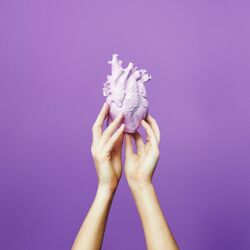 Cover of Choose Love