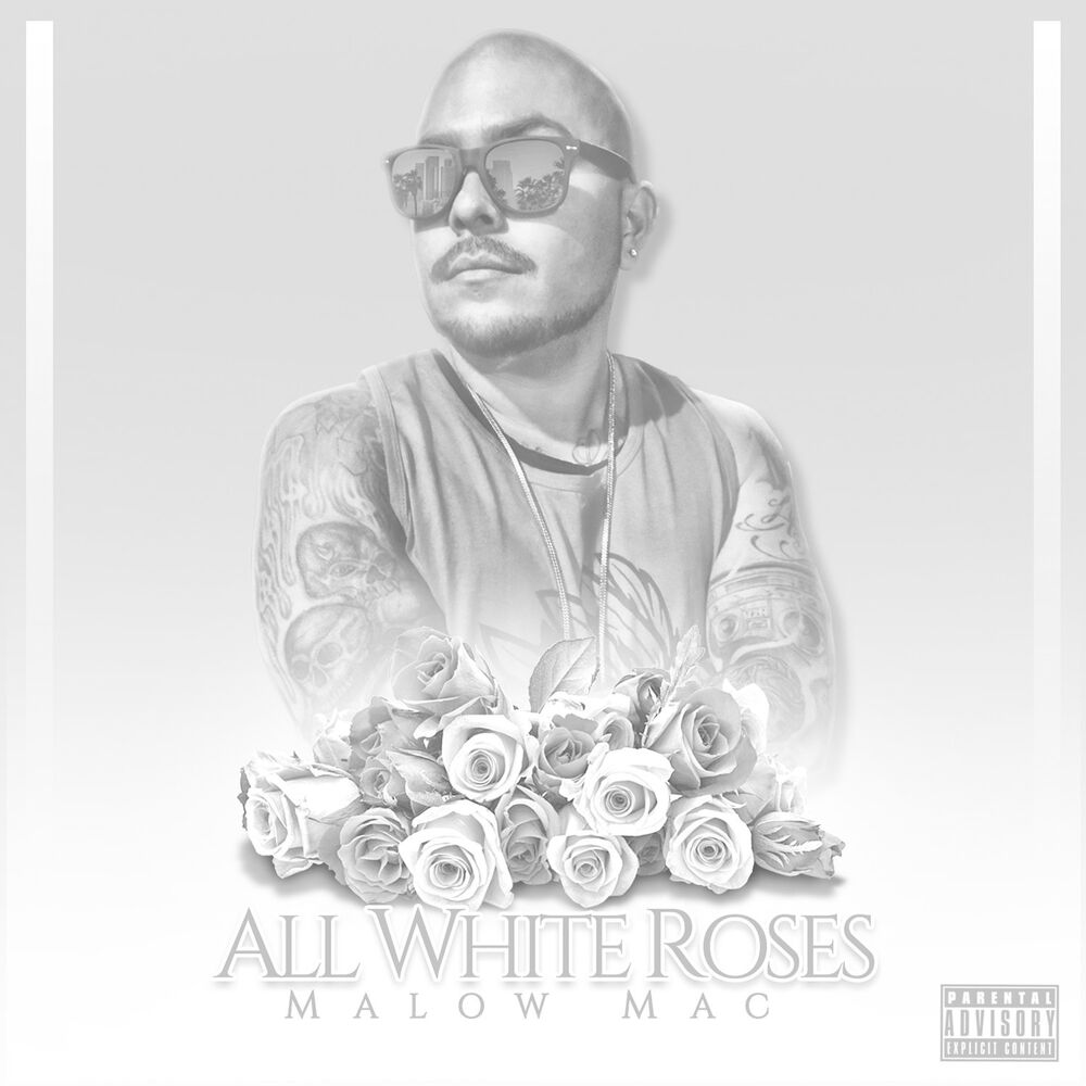Picture of All White Roses