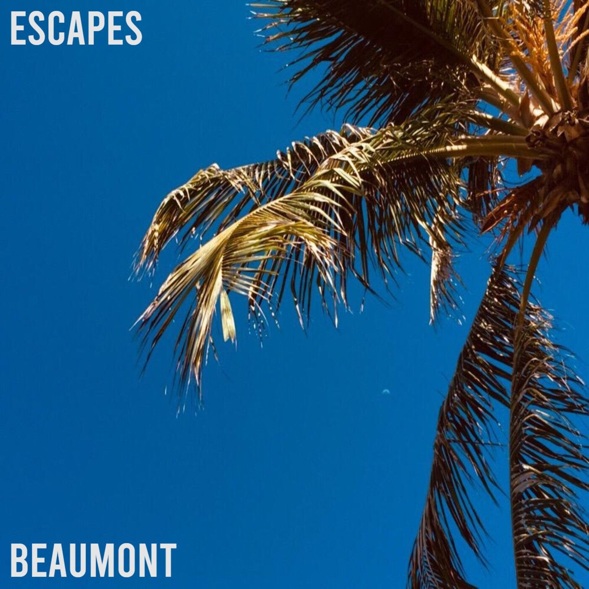 Album cover of Escapes