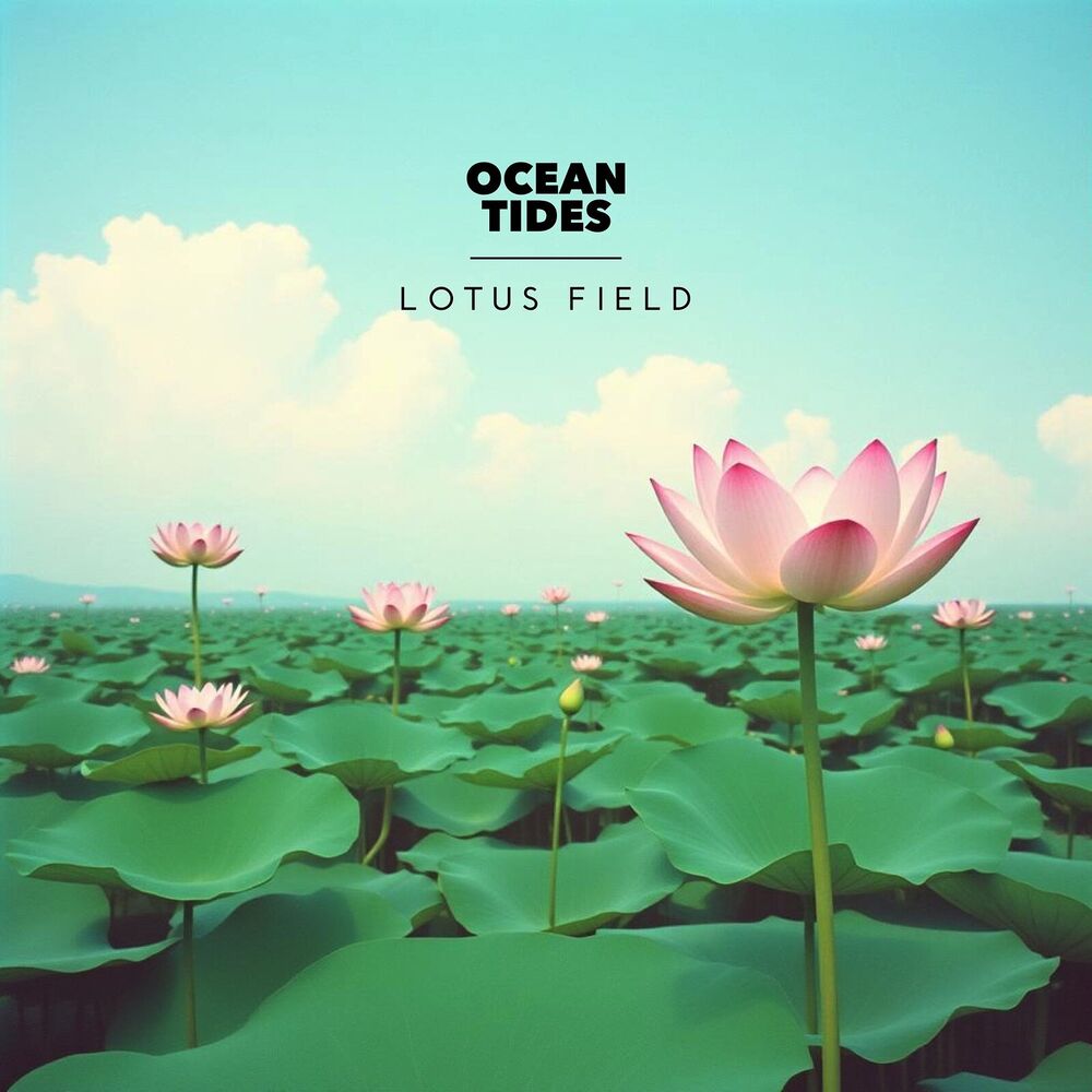 Picture of Lotus Field