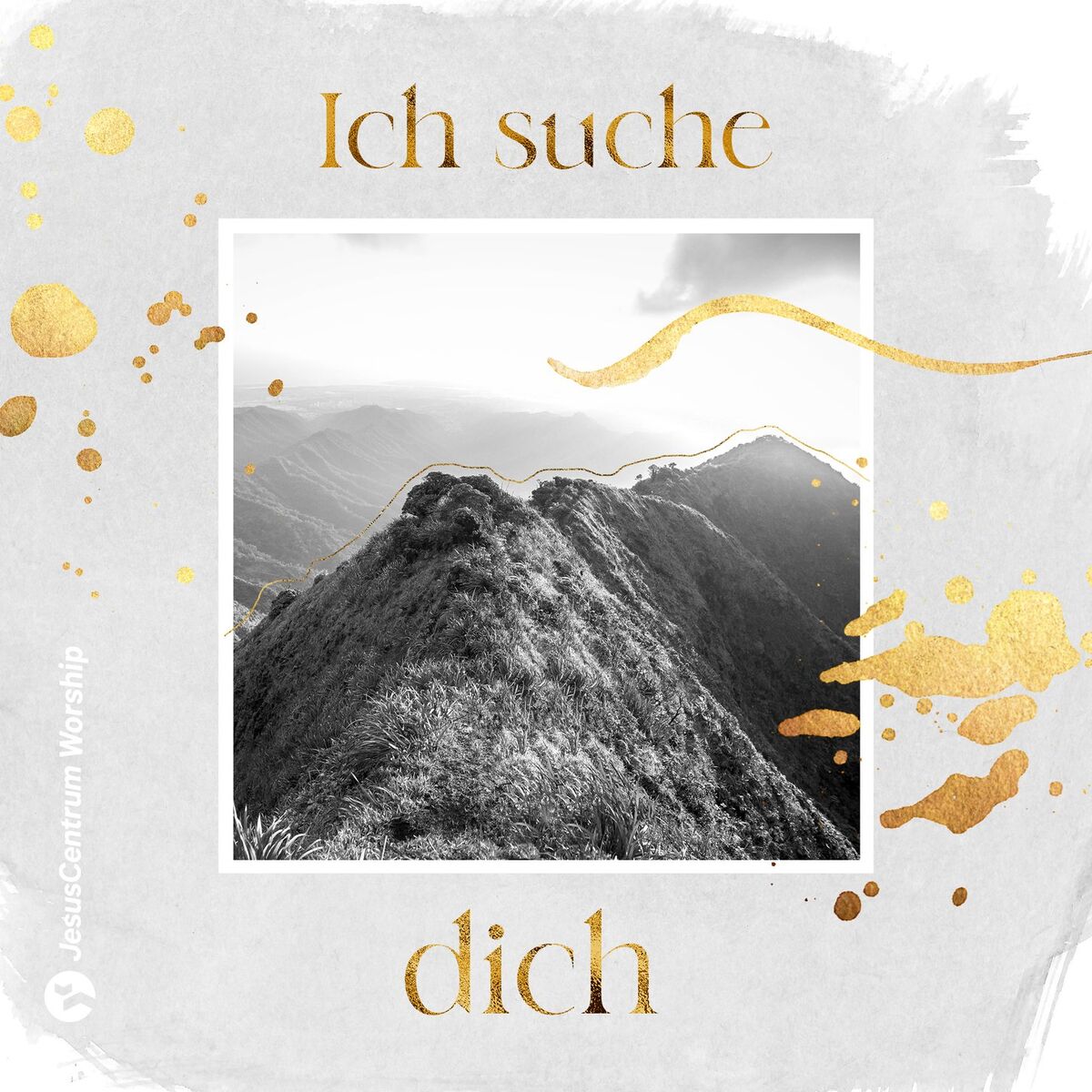 Album cover of Ich suche dich