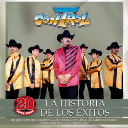Cover of La Historia De Los Éxitos (20 Super Temas)