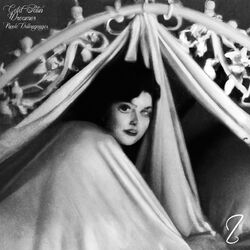 Cover of Gold Satin Dreamer