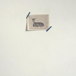 Pochette album