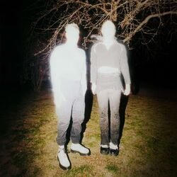 Cover of Fireflies
