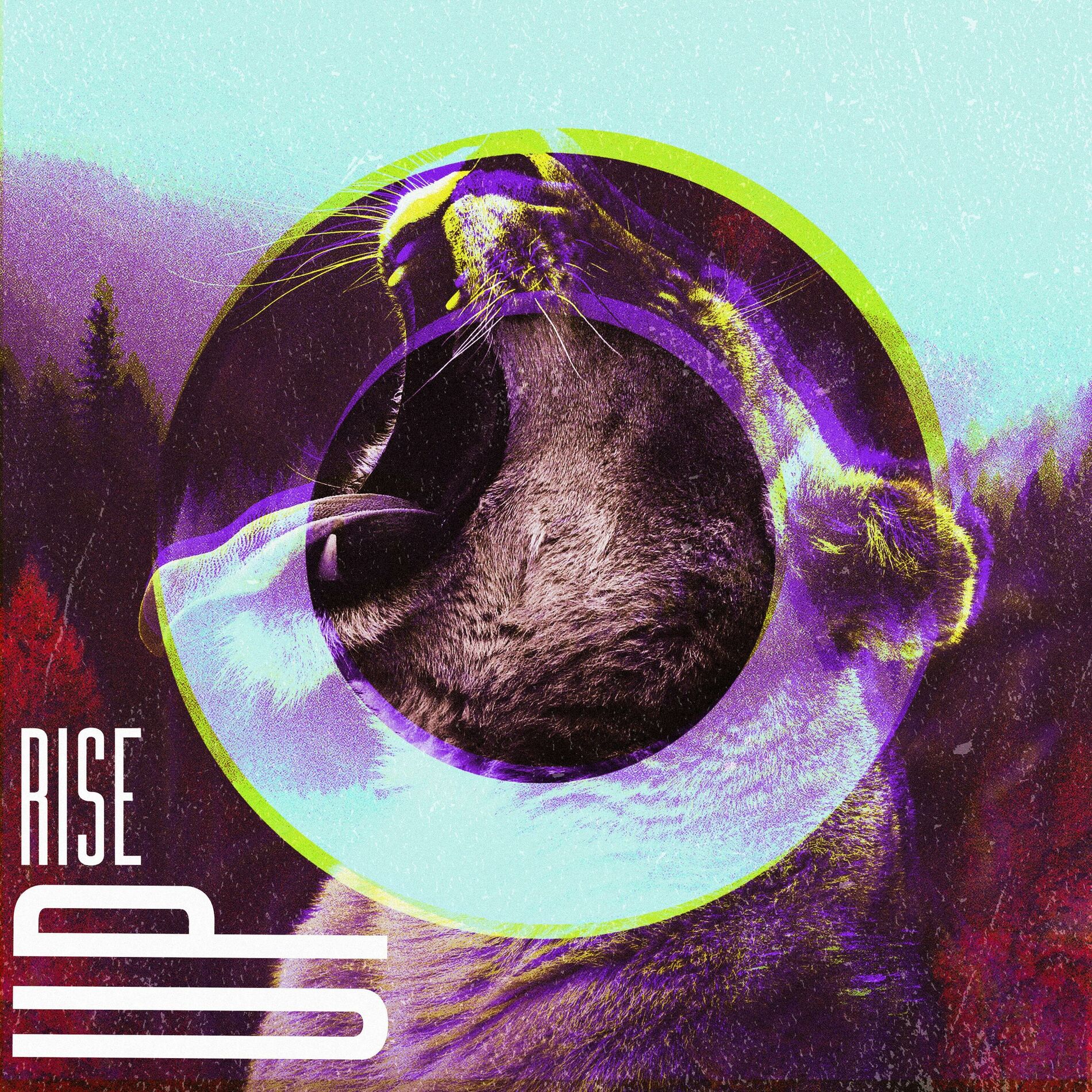 Album cover of Rise Up (feat. King Canyons)