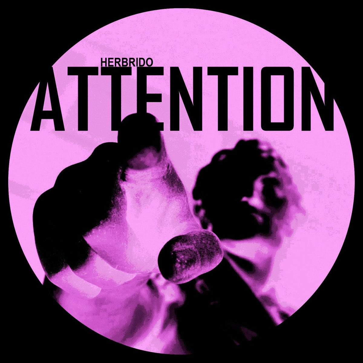 Album cover of Attention