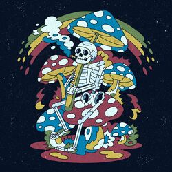 Cover of Where Do I Belong?