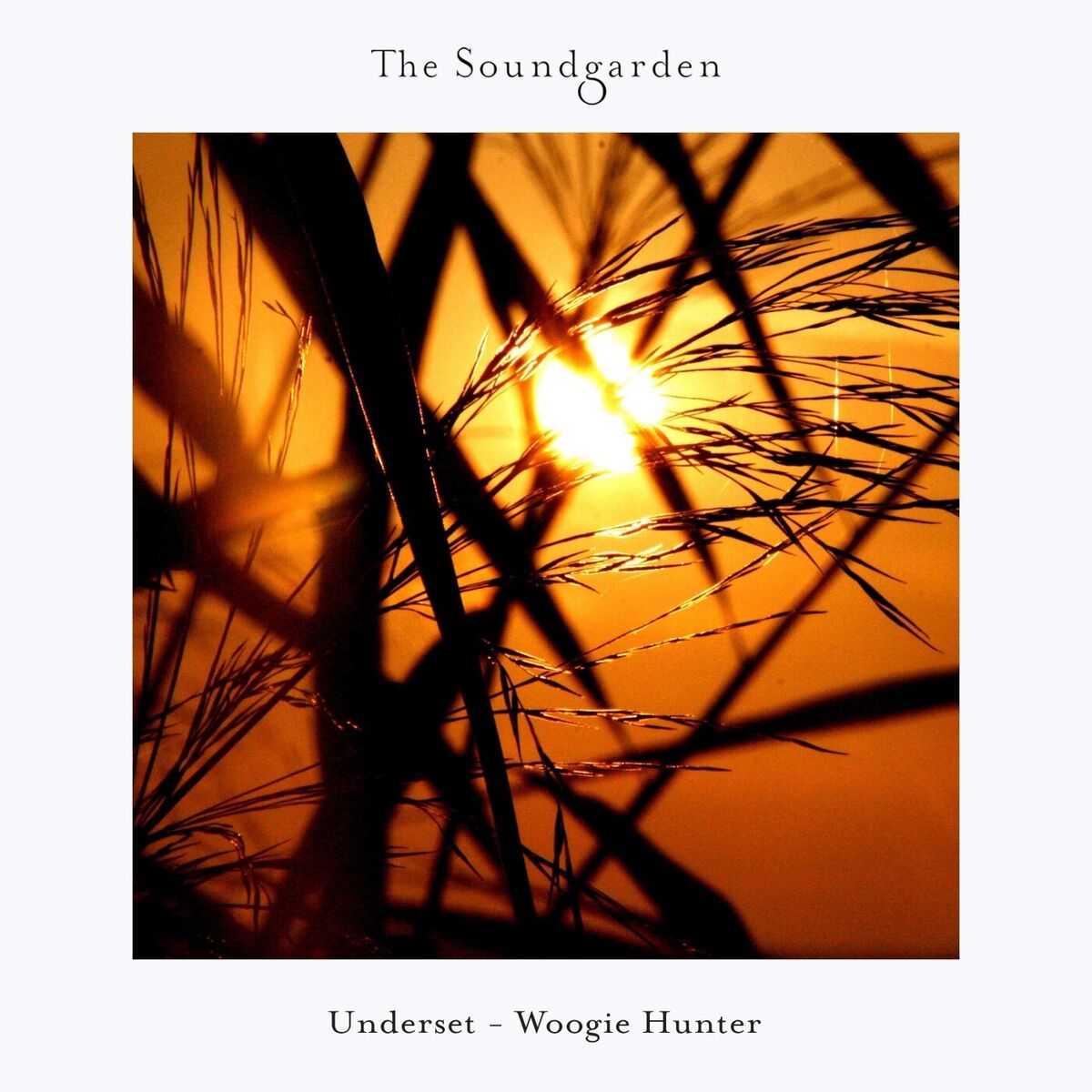 Album cover of Woogie Hunter