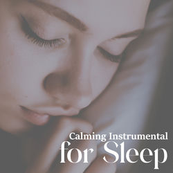 Cover of Calming Instrumental and Nature for Sleep by undefined
