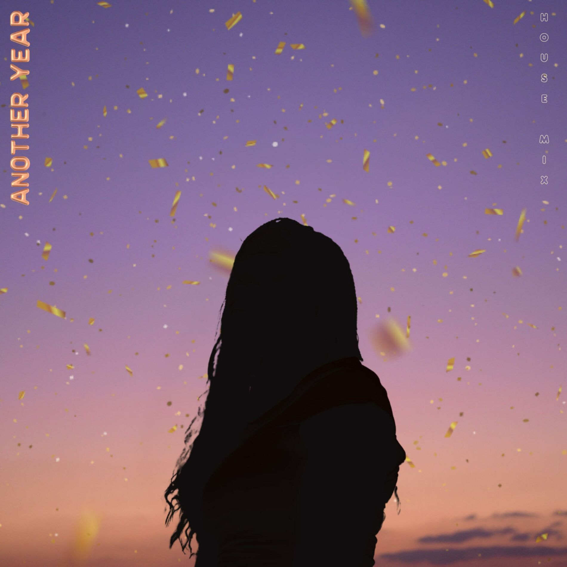 Album cover of Another Year (House Mix)
