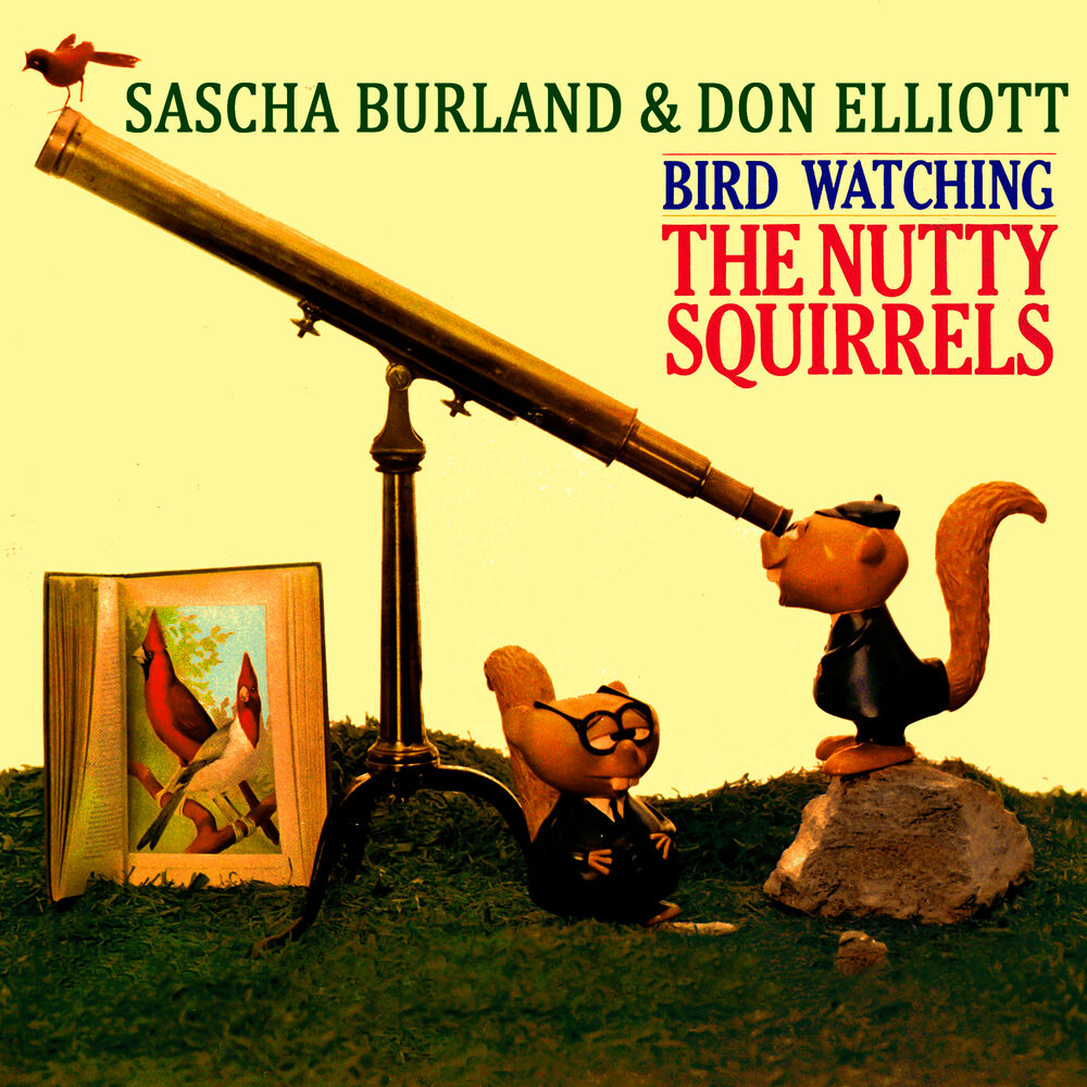 Picture of The Nutty Squirrels - Bird Watching