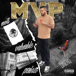 Cover of Most Valuable Paisa