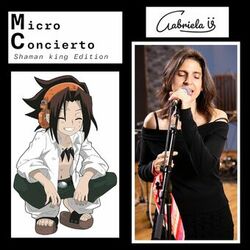Cover of Micro Concierto Shaman King Edition