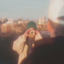 Cover of Picture Of You