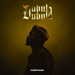 Cover of Dubula Dubula
