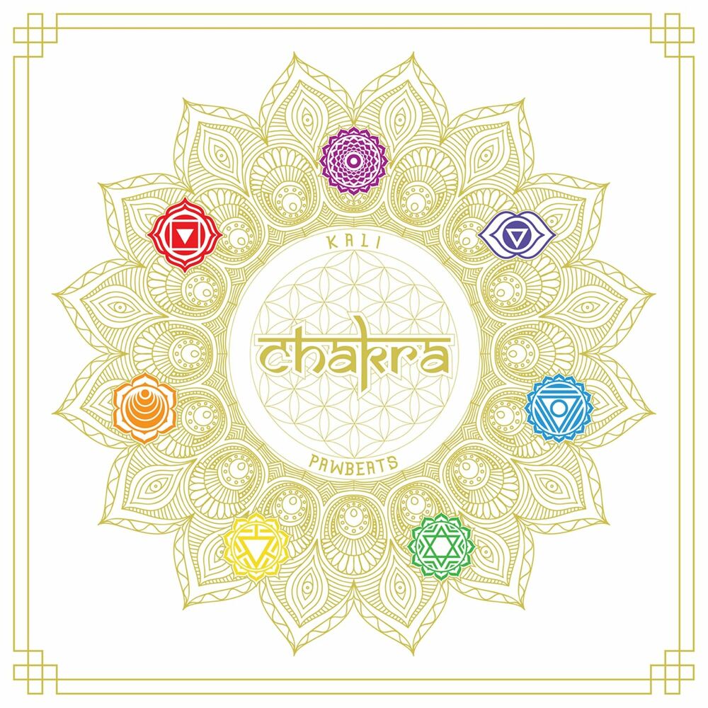 Picture of Chakra