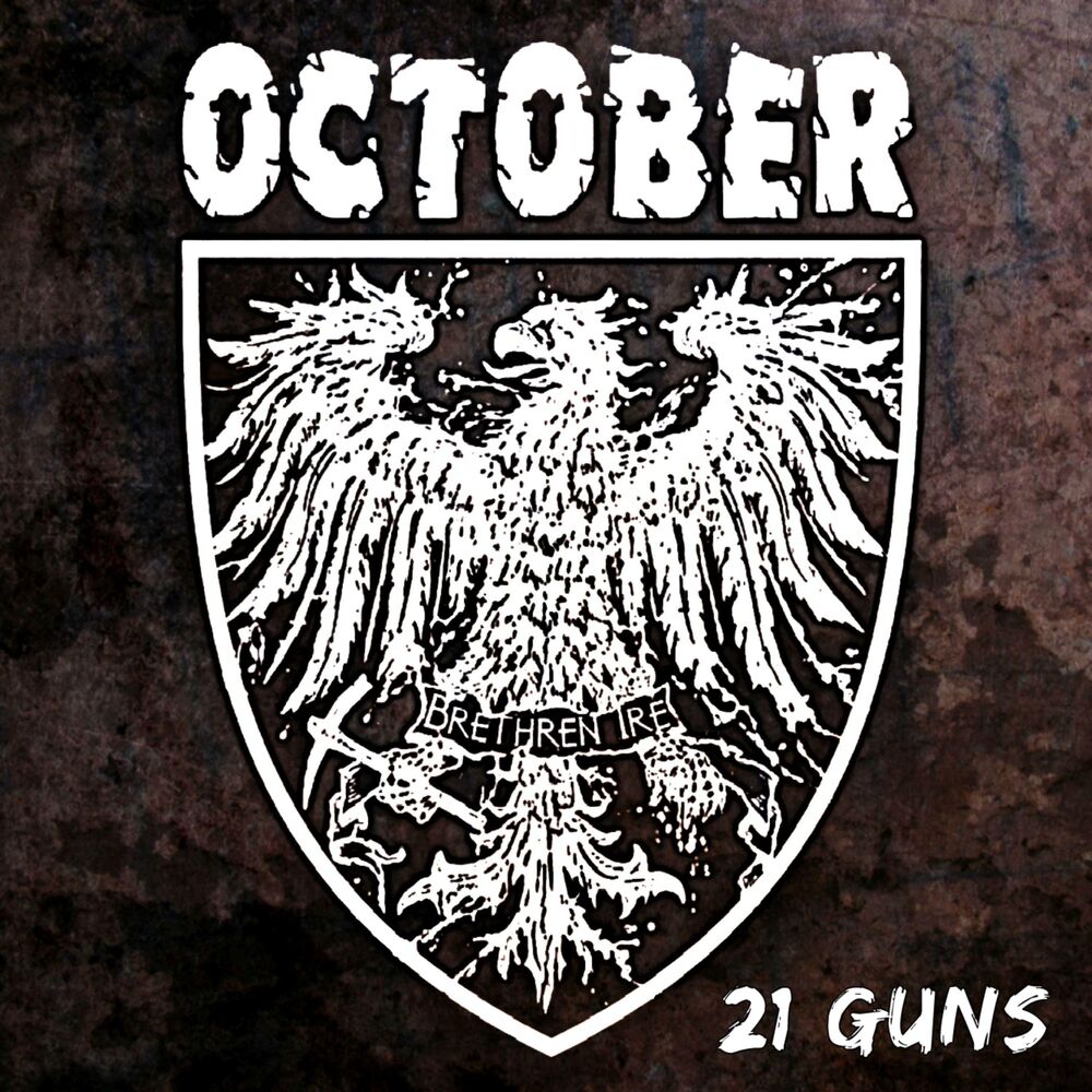 Picture of 21 Guns