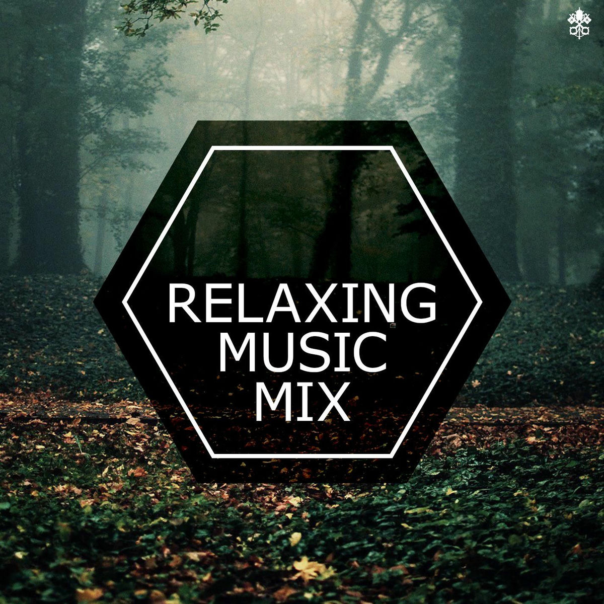 Album cover of Relaxing Music Mix