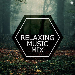 Cover of Relaxing Music Mix by undefined