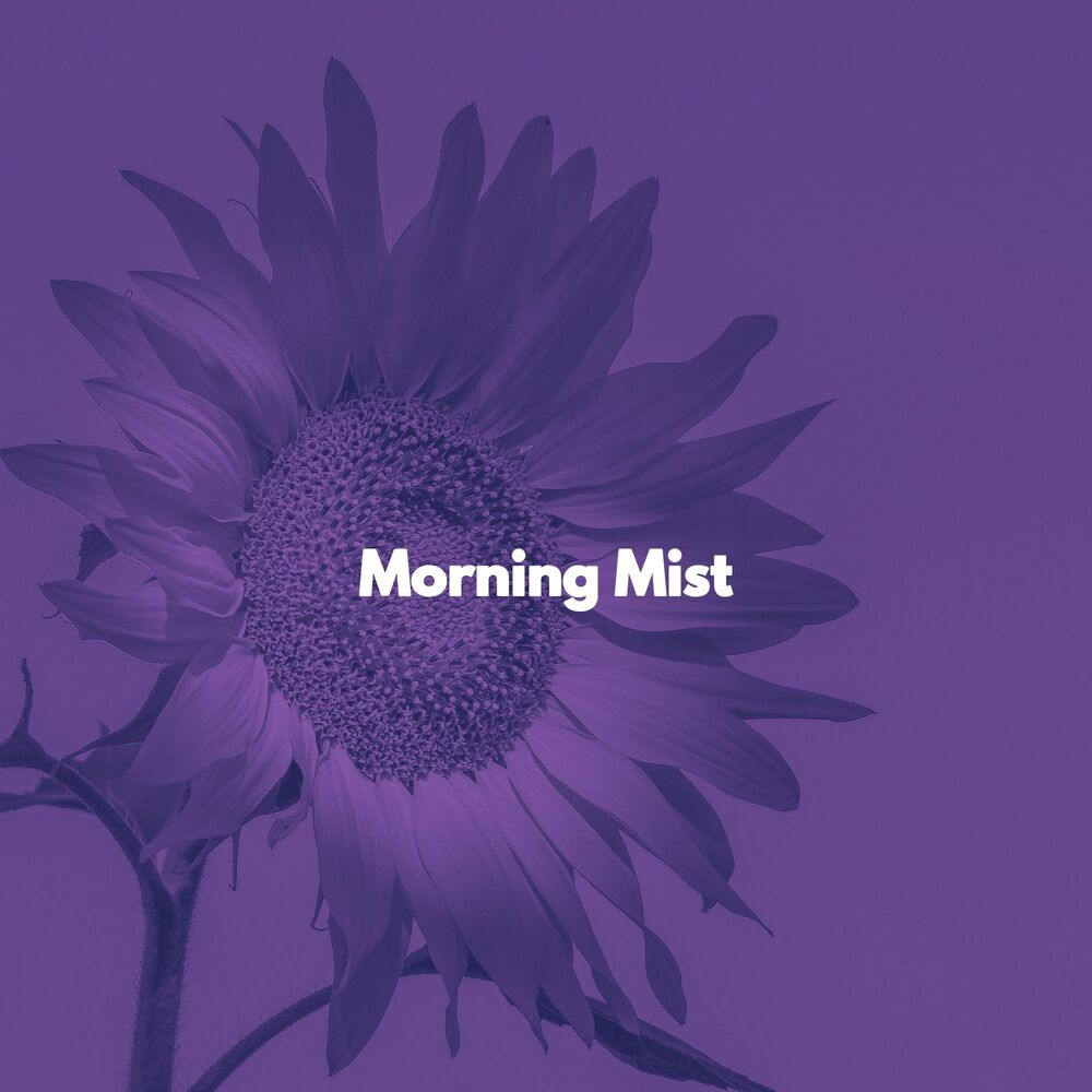 Picture of Morning Mist