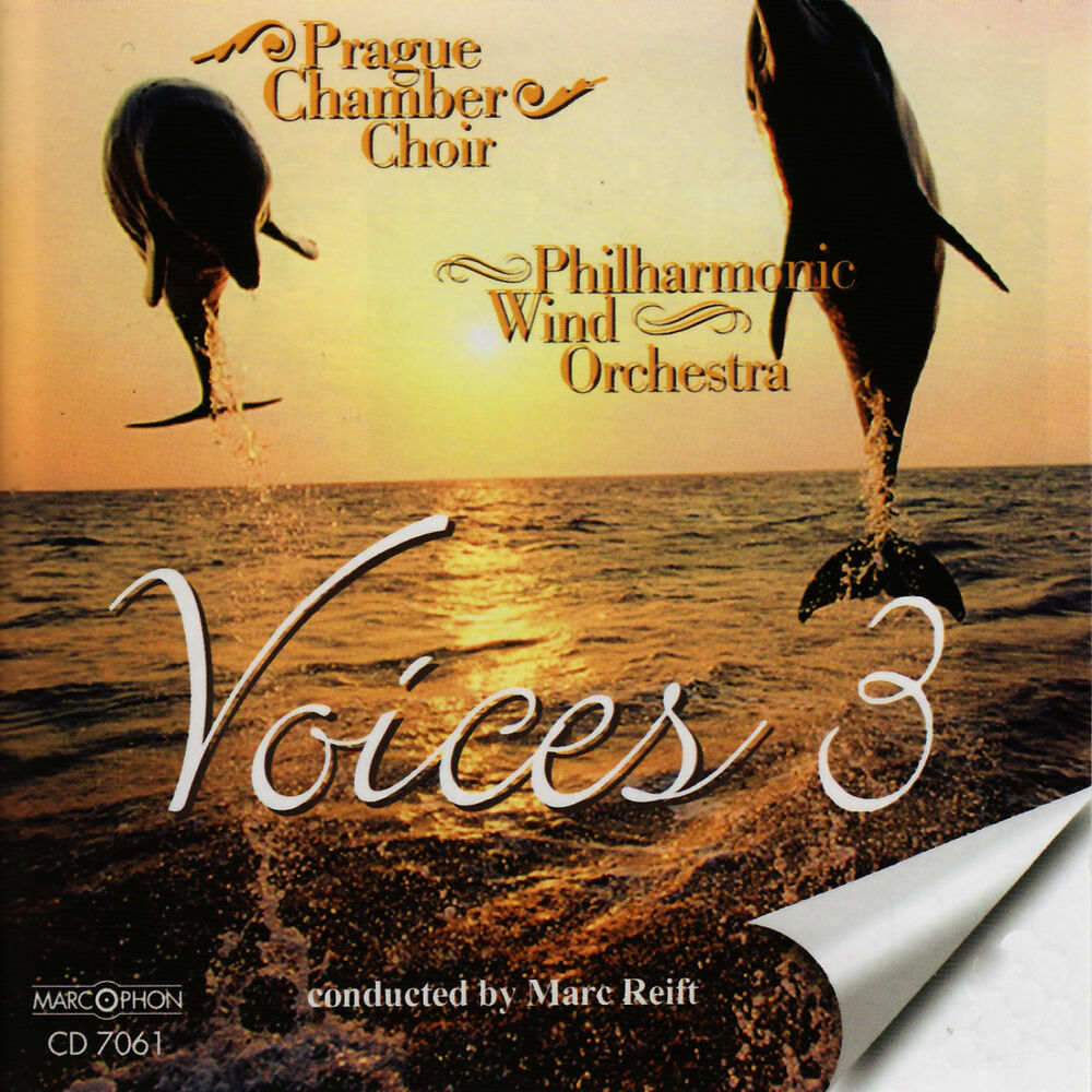 Picture of Voices 3