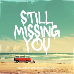 Cover of Still Missing You