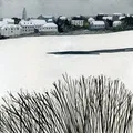 Flakes