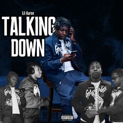 Cover of TALKING DOWN