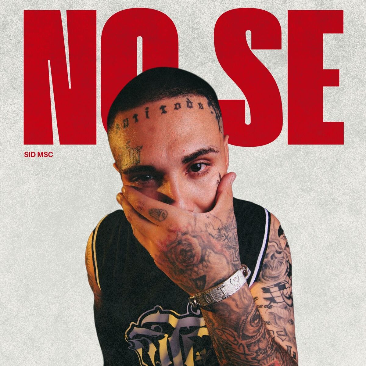 Album cover of No Se