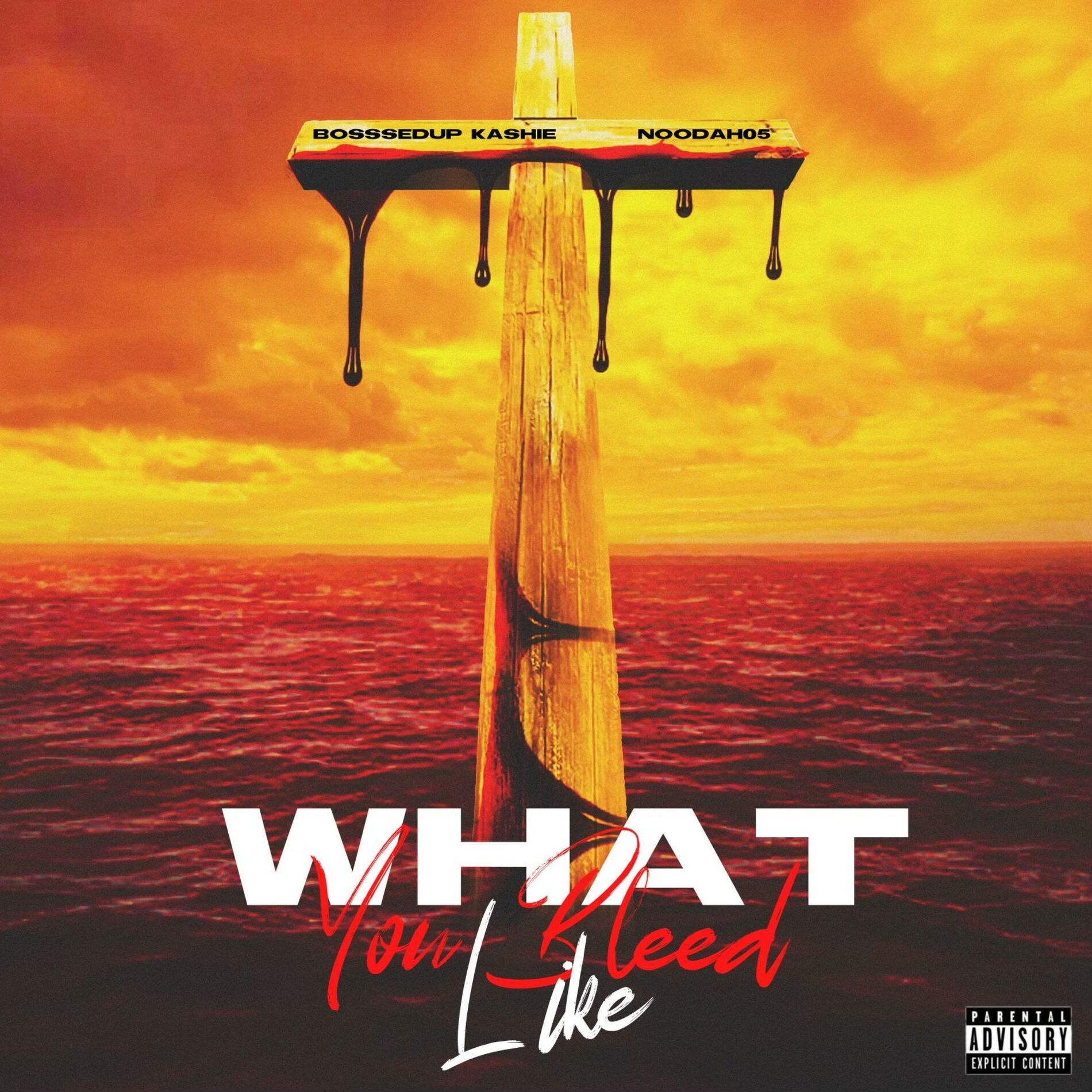 Album cover of What You Bleed Like (feat. Noodah05)