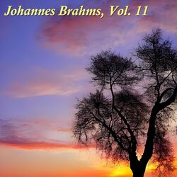 Cover of Johannes Brahms, Vol. 11