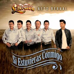 Cover of Si Estuvieras Conmigo