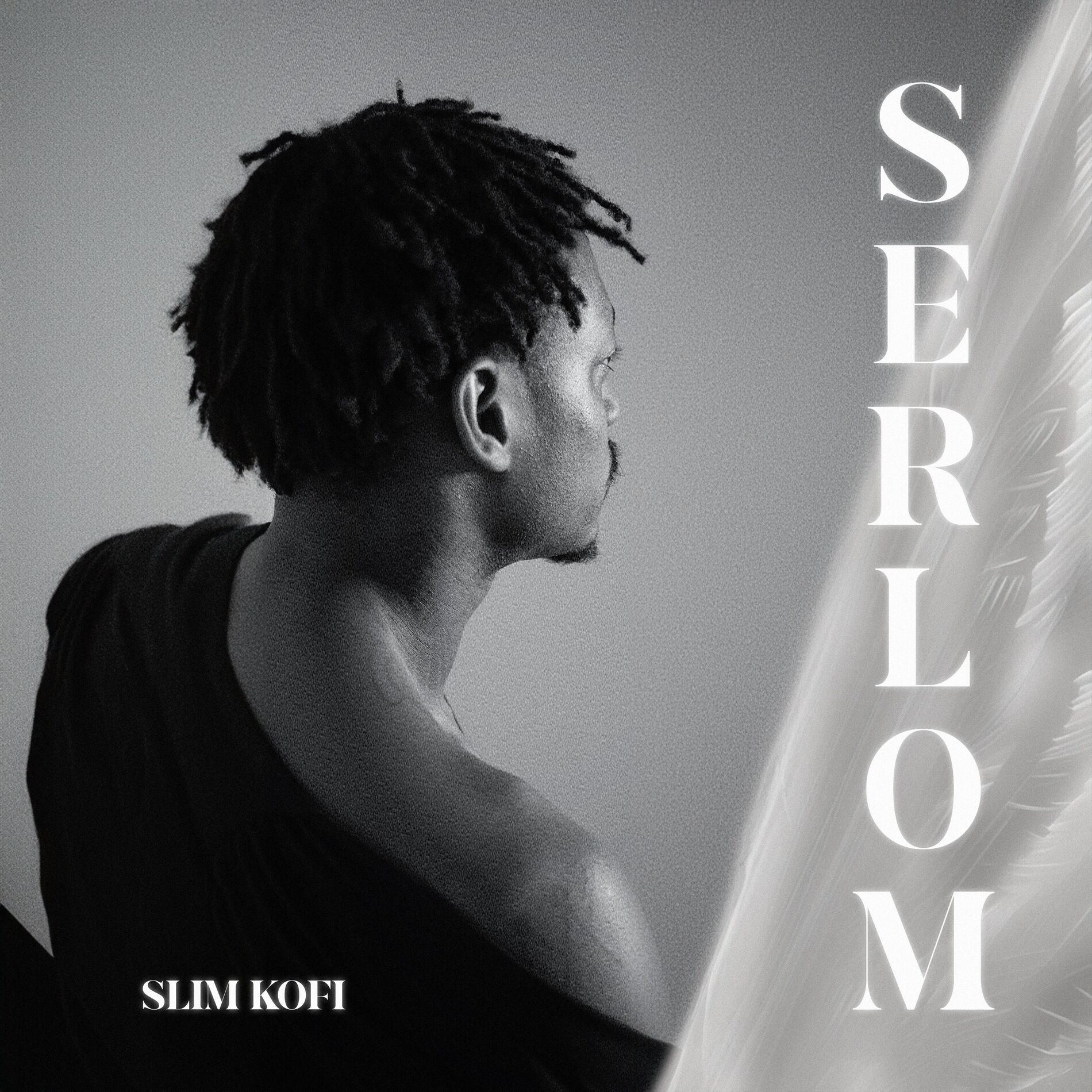 Album cover of Serlom