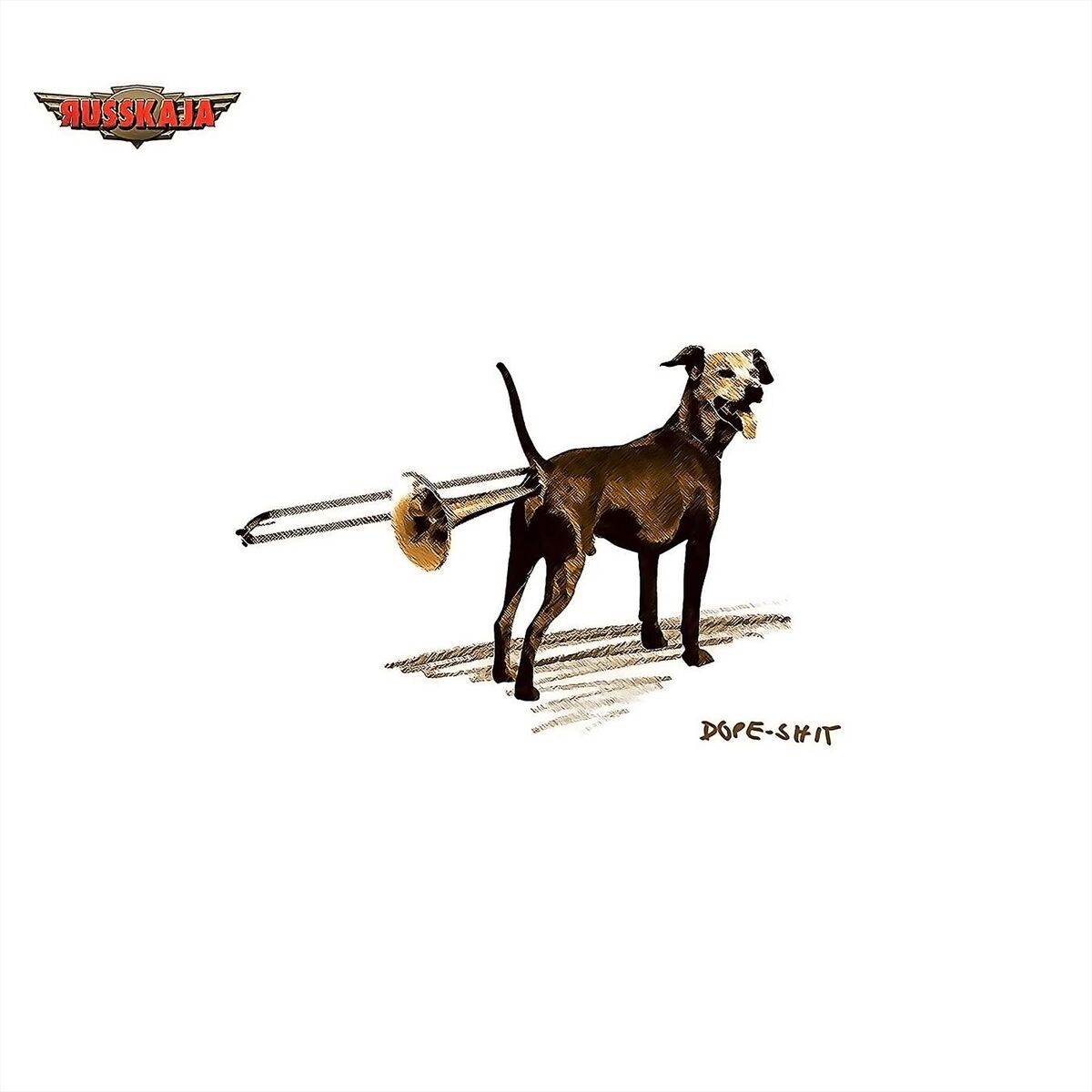 Album cover of Barabani